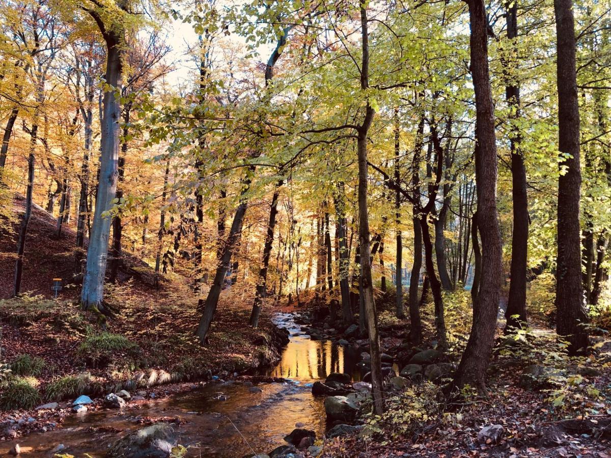 "Eiche" Daire Ilsenburg Dış mekan fotoğraf