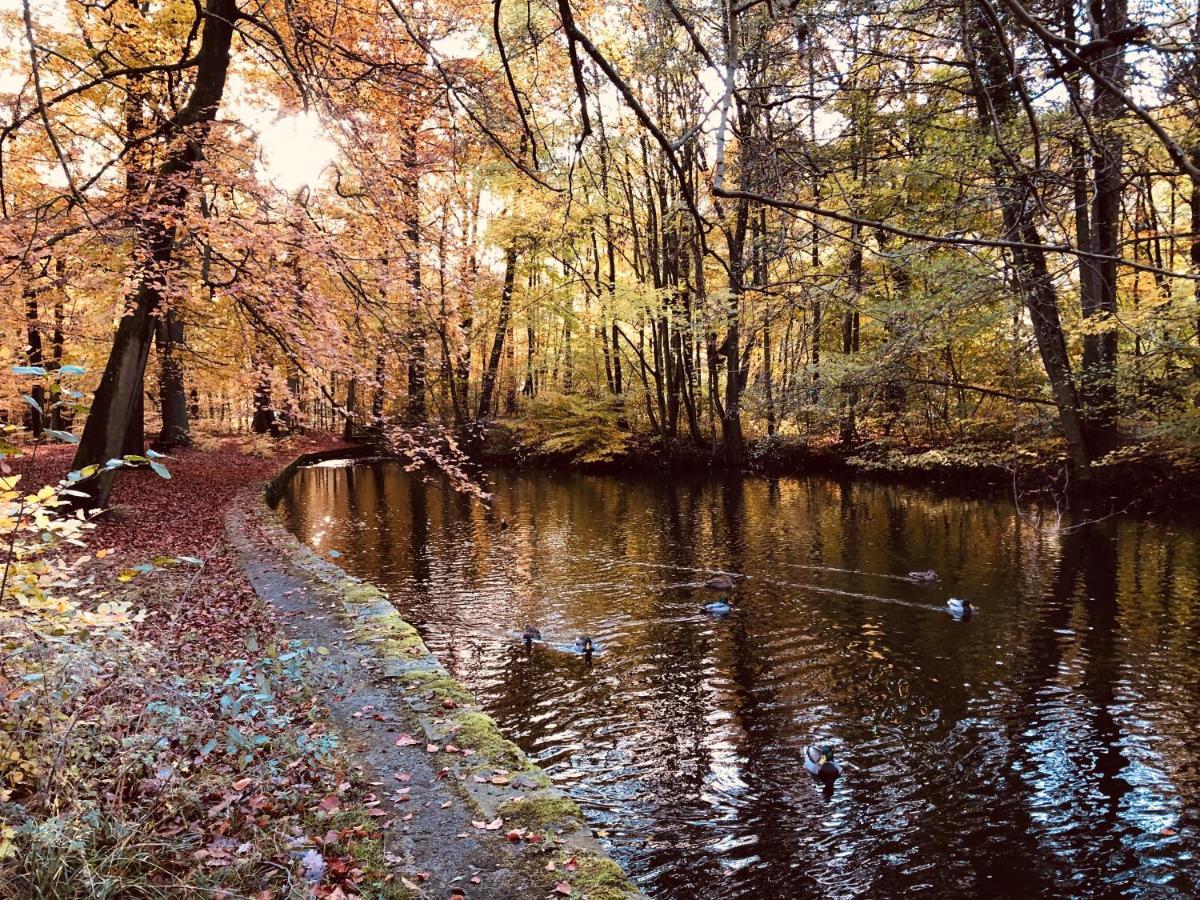 "Eiche" Daire Ilsenburg Dış mekan fotoğraf